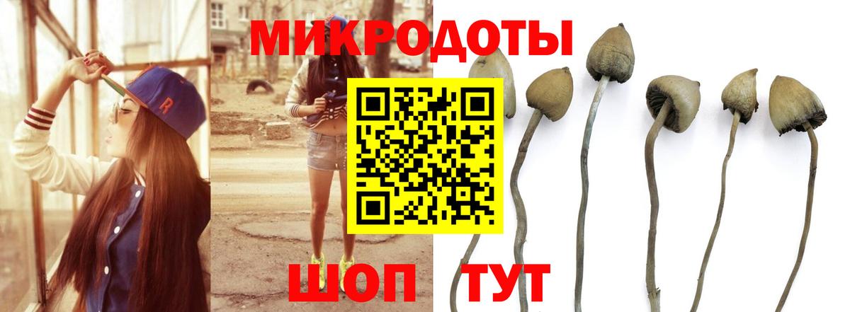 Людиново  Галлюциногенные грибы Psilocybine cubensis  Вход с VPN  Галлюциногенные грибы Psilocybine cubensis 
